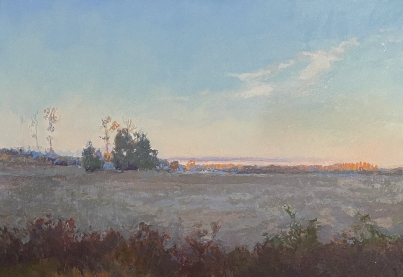 FIELD IN NOVEMBER, Peter Malarkey, oil on linen, 28 x 40 inches, copyright ©2024